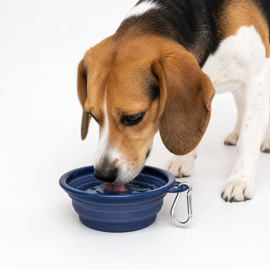 Reisenapf Zusammenfaltbarer für Tiere, 500 ml, mit Karabinerhaken